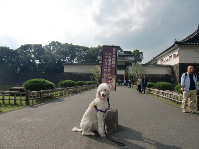 f:id:anbeto:20111009022624j:image:w360