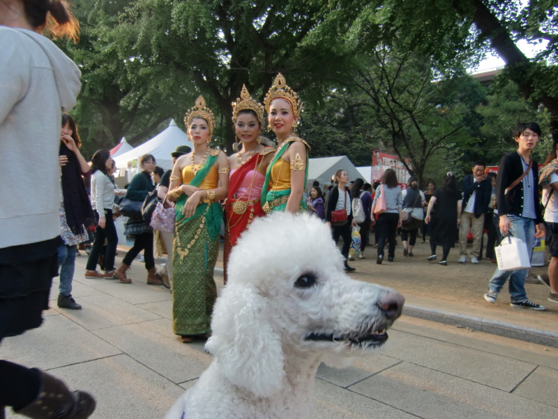 f:id:anbeto:20111009040538j:image:w360