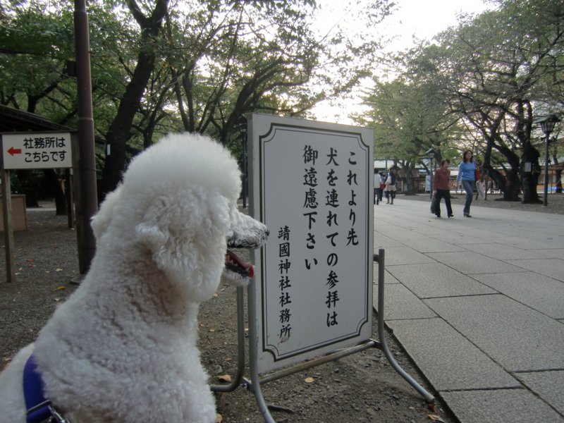 f:id:anbeto:20111009041308j:image:w360