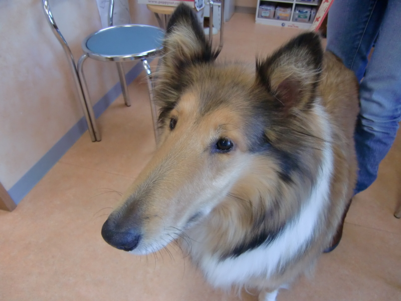 f:id:anbeto:20111211225626j:image:w360