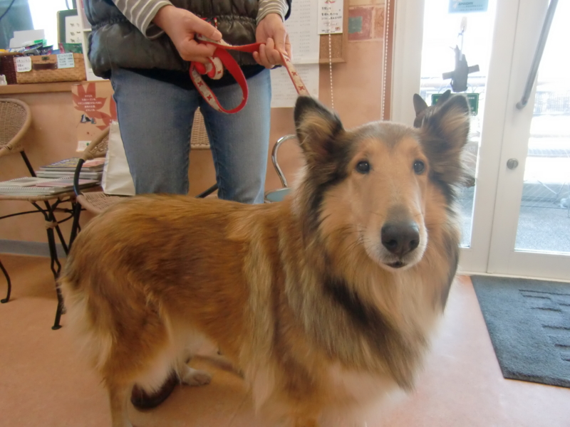 f:id:anbeto:20111211225636j:image:w360