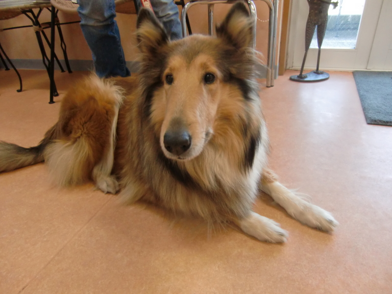 f:id:anbeto:20111211225654j:image:w360