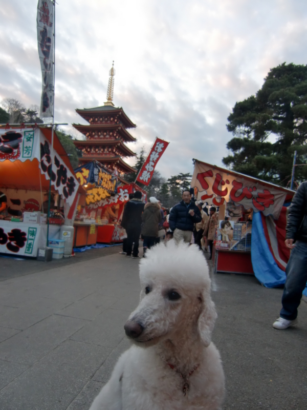 f:id:anbeto:20120108043637j:image:w360