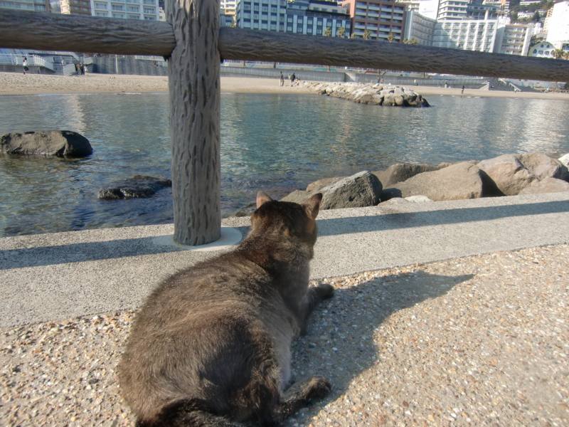 f:id:anbeto:20120109014240j:image:w360