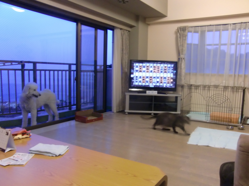 f:id:anbeto:20120109051111j:image:w360