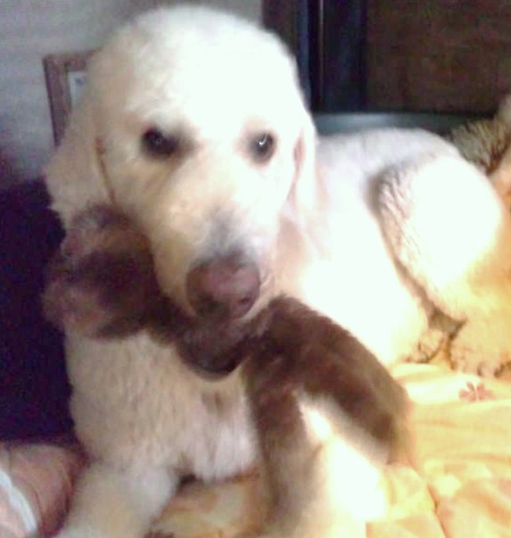 f:id:anbeto:20120823140656j:image:w360