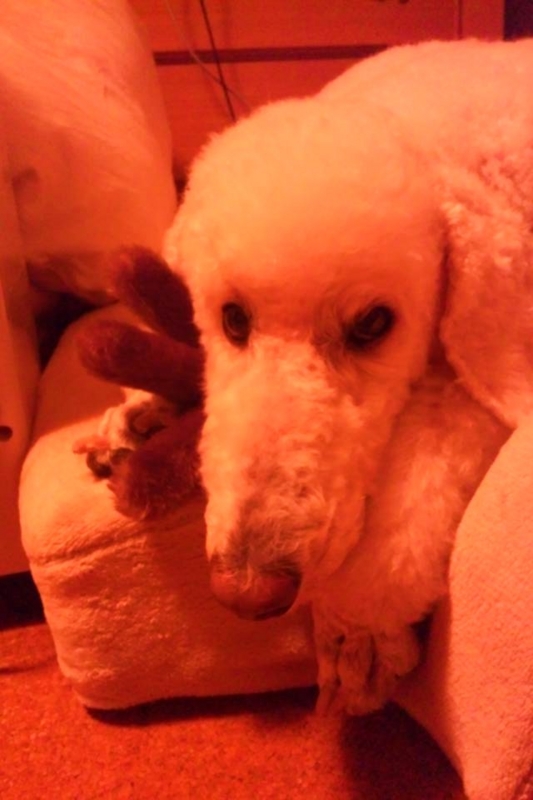 f:id:anbeto:20120823234730j:image:w360