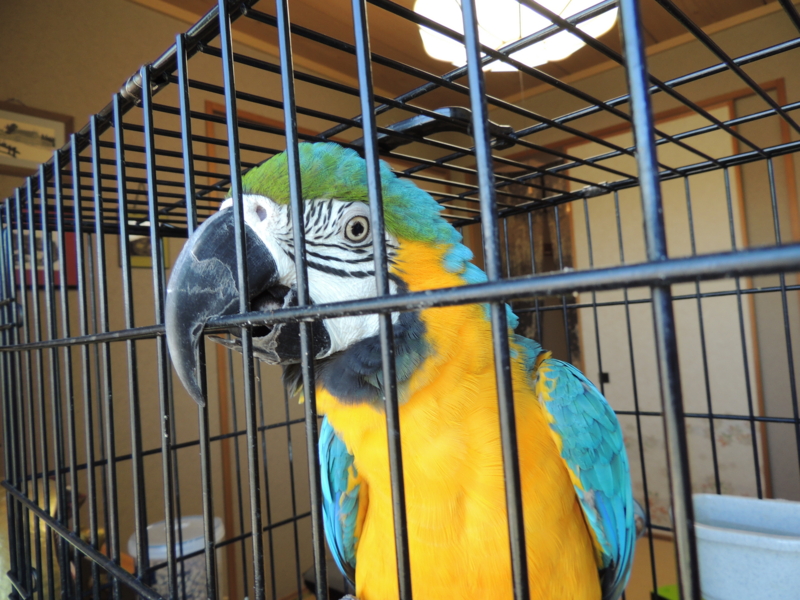 f:id:anbeto:20120827130322j:image:w360
