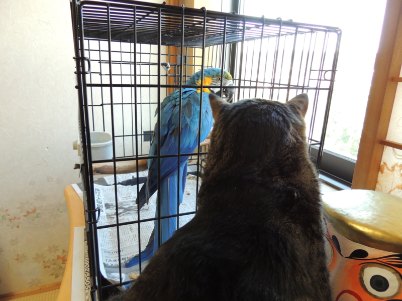 f:id:anbeto:20120827130608j:image:w360