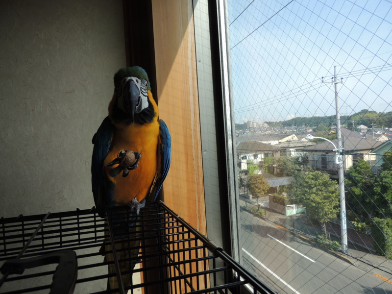 f:id:anbeto:20120828082149j:image:w360
