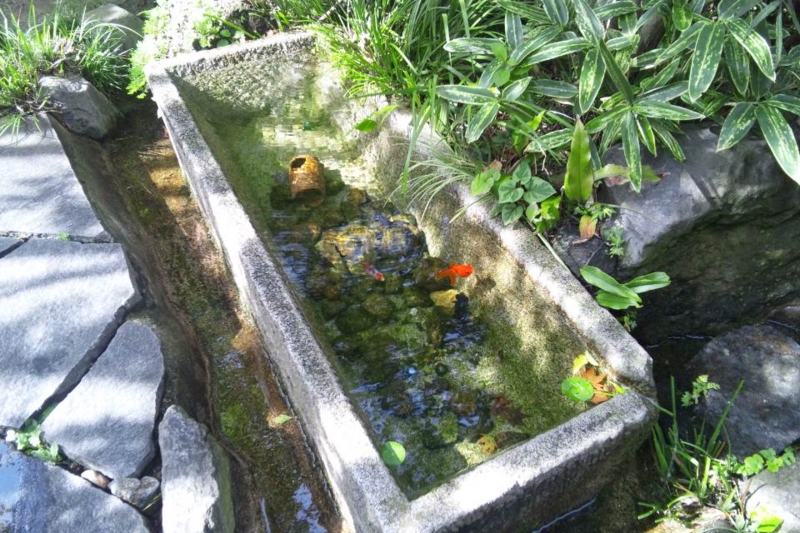 f:id:anbeto:20120829143517j:image:w360
