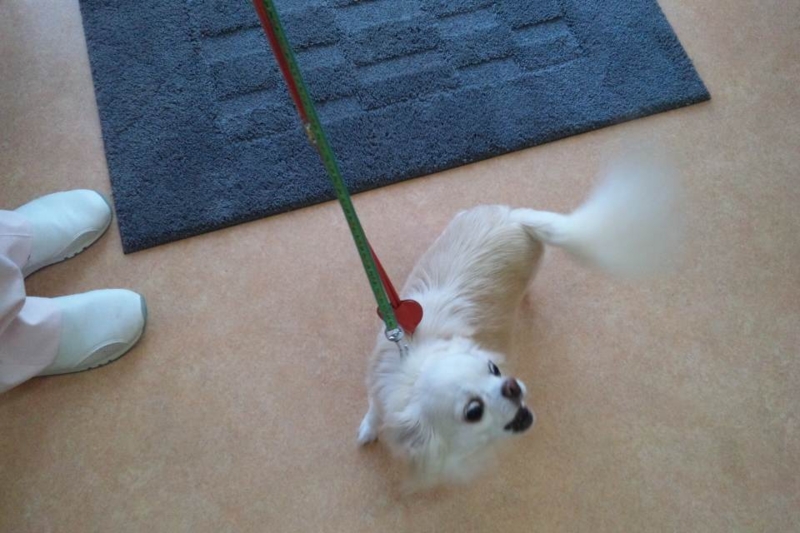 f:id:anbeto:20120907094016j:image:w360