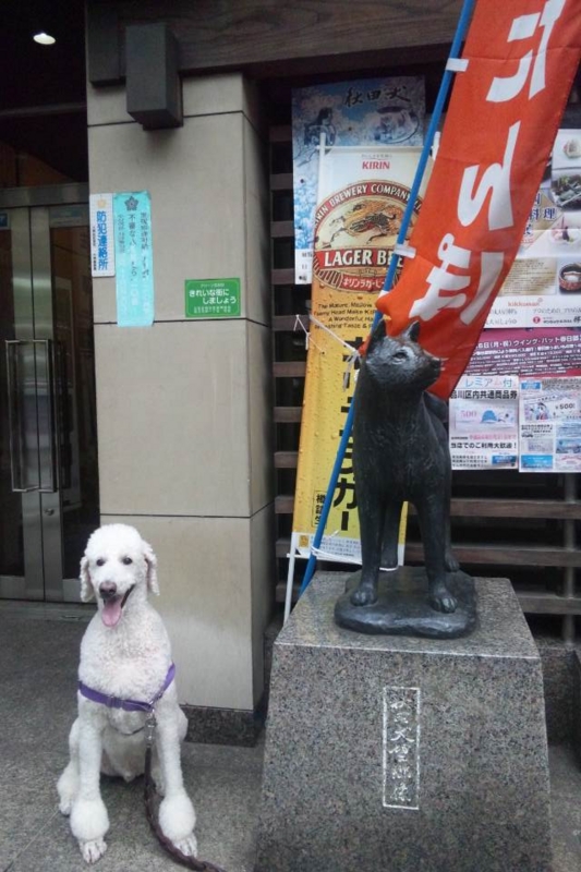 f:id:anbeto:20120922162014j:image:w360