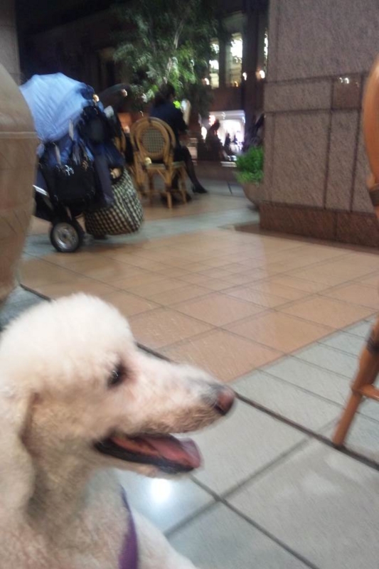 f:id:anbeto:20120922184544j:image:w360