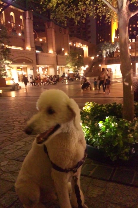 f:id:anbeto:20120922190843j:image:w360