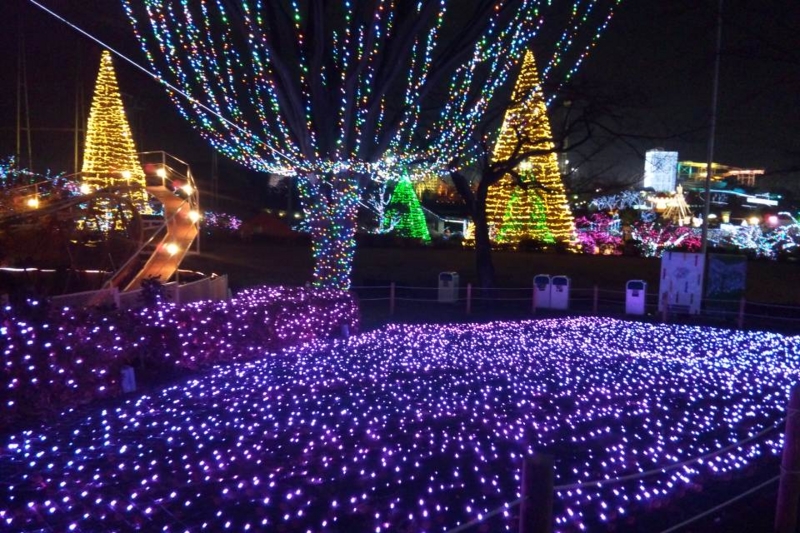f:id:anbeto:20121214201940j:image:w360