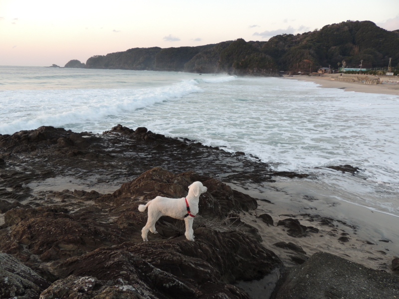 f:id:anbeto:20130115065611j:image:w360