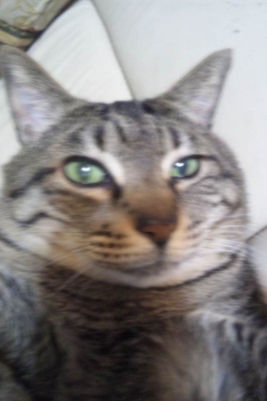 f:id:anbeto:20130313094315j:image:w360