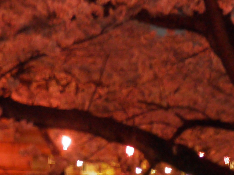 f:id:anbeto:20130326182559j:image:w360 f:id:anbeto:20130326182559j:image:w360