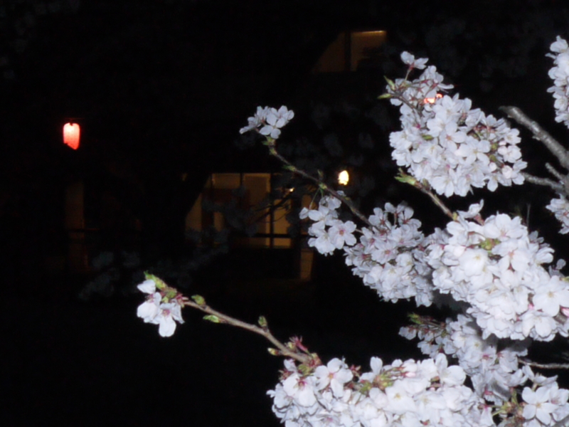 f:id:anbeto:20130326183340j:image:w360 f:id:anbeto:20130326183340j:image:w360