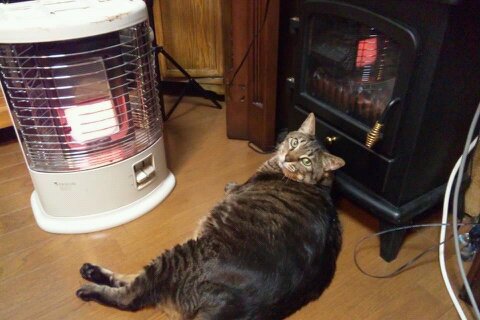 f:id:anbeto:20130404144214j:image:w360