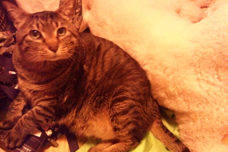 f:id:anbeto:20130409090439j:image:w360