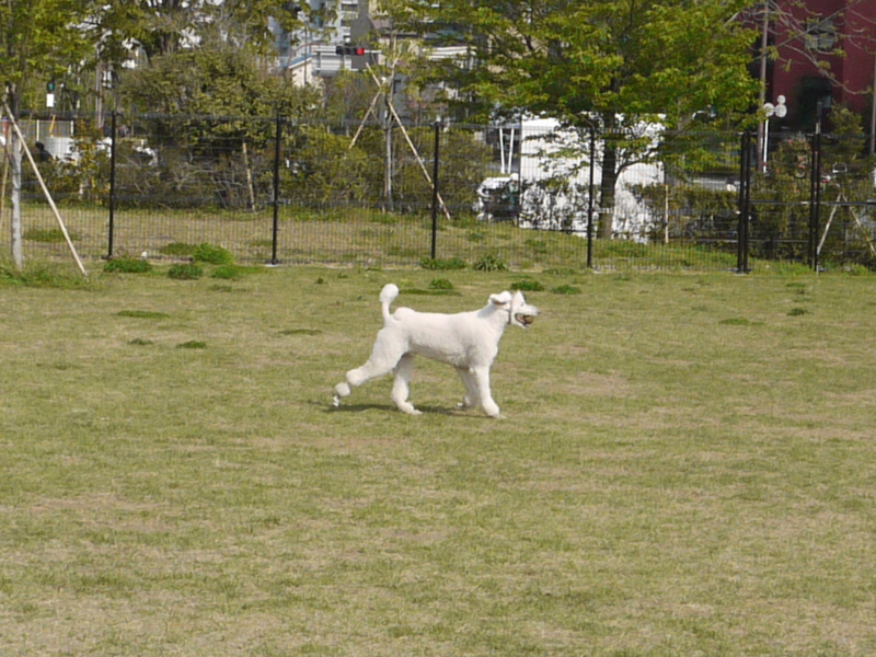 f:id:anbeto:20130416141055j:image:w360