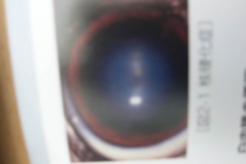 f:id:anbeto:20130419112403j:image:w360
