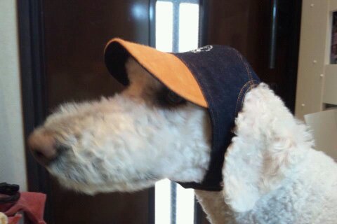 f:id:anbeto:20130419113143j:image:w360
