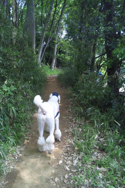 f:id:anbeto:20130429115316j:image:w360