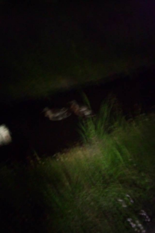 f:id:anbeto:20130508203108j:image:w360 f:id:anbeto:20130508203108j:image:w360