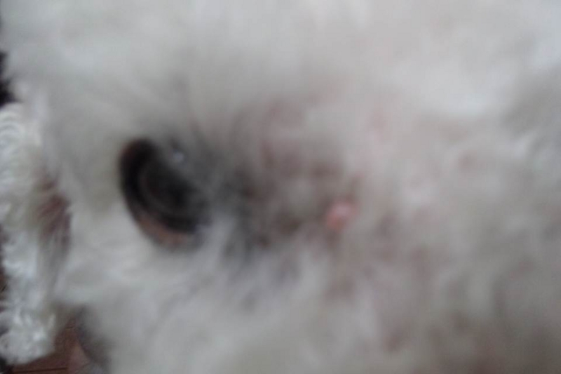 f:id:anbeto:20130527095933j:image:w360 f:id:anbeto:20130527095933j:image:w360