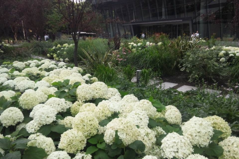 f:id:anbeto:20130630170609j:image:w360