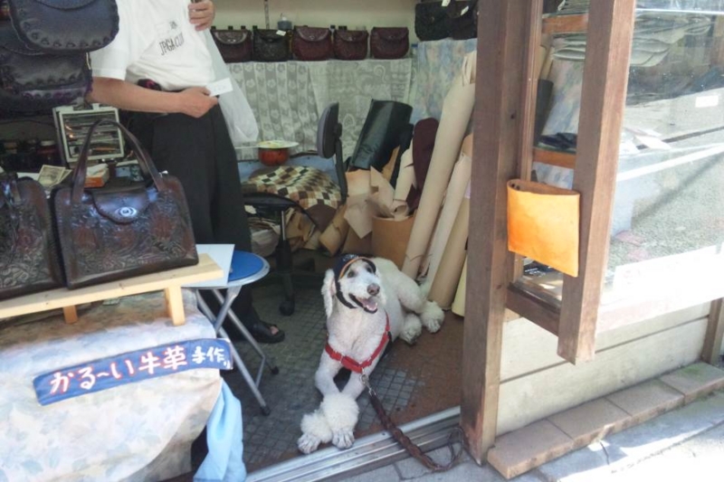 f:id:anbeto:20130715160520j:image:w360 f:id:anbeto:20130715160520j:image:w360