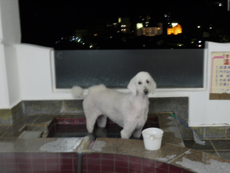 f:id:anbeto:20130715212135j:image:w360 f:id:anbeto:20130715212135j:image:w360