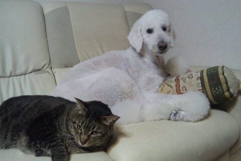 f:id:anbeto:20130726093430j:image:w360