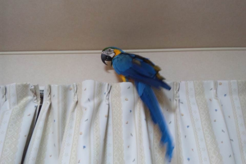 f:id:anbeto:20131010205232j:image:w360