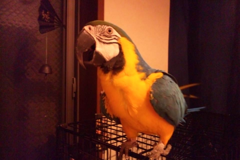 f:id:anbeto:20131010214603j:image:w360