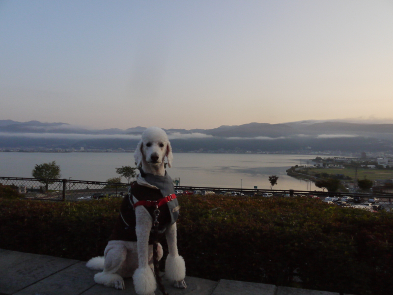 f:id:anbeto:20131014060919j:image:w360 f:id:anbeto:20131014060919j:image:w360