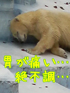 f:id:anbeto:20131121162338j:image:w360