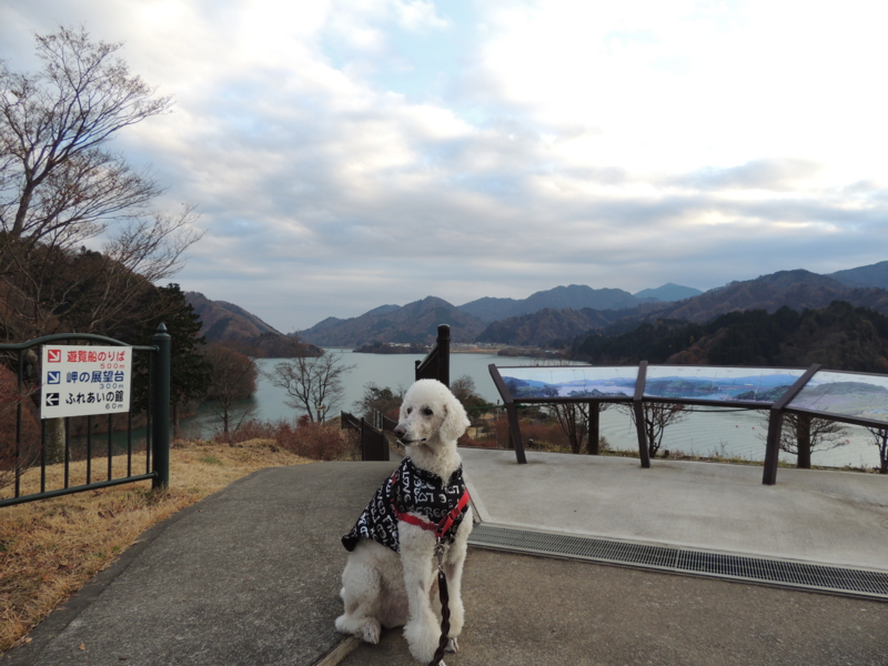 f:id:anbeto:20131208154406j:image:w360