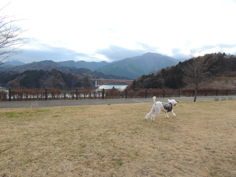 f:id:anbeto:20131208154613j:image:w360