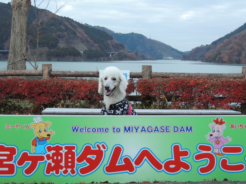 f:id:anbeto:20131208163647j:image:w360