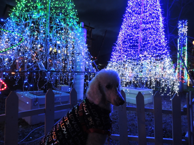 f:id:anbeto:20131208171546j:image:w360