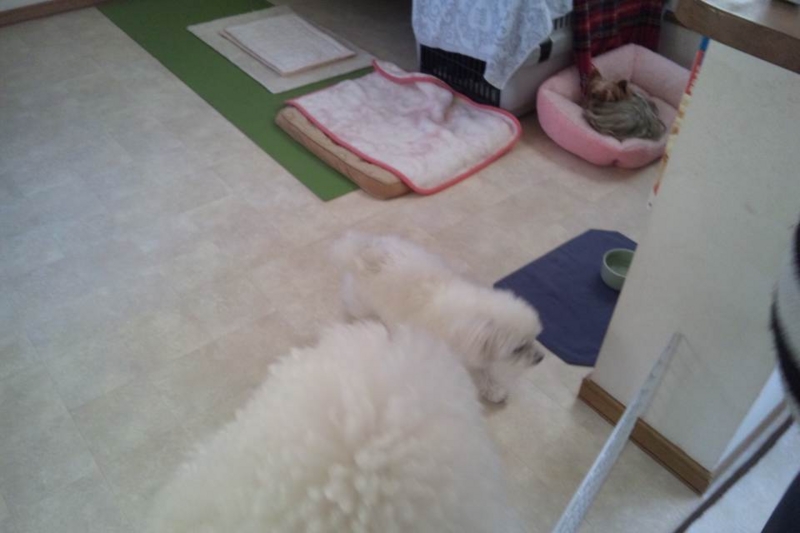 f:id:anbeto:20131212144415j:image:w360