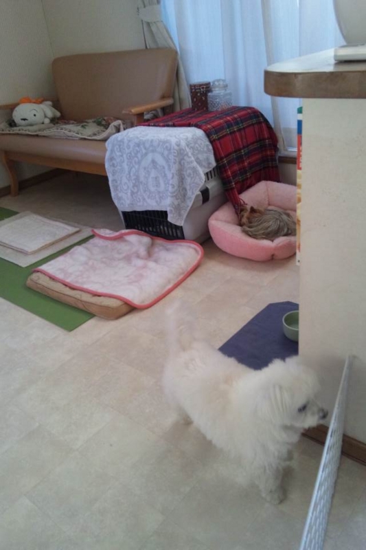 f:id:anbeto:20131212144427j:image:w360