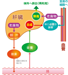 f:id:anbeto:20131219204542j:image:w360