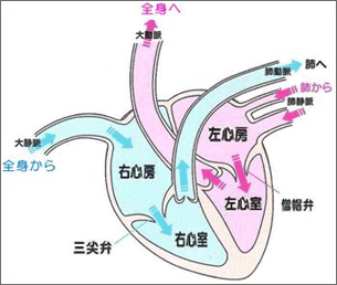 f:id:anbeto:20131220100555g:image:w360