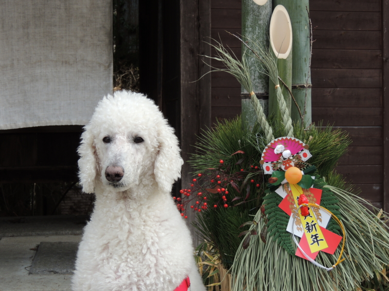f:id:anbeto:20131224111940j:image:w360 f:id:anbeto:20131224111940j:image:w360