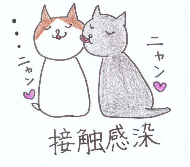 f:id:anbeto:20131229101658j:image:w360